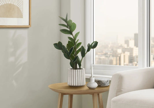 20" Tall, Artificial Plant, Zz, Indoor, Faux, Fake, Table, Greenery, Potted, Real | 11 x 10 x 20 in | Home Furniture | Green