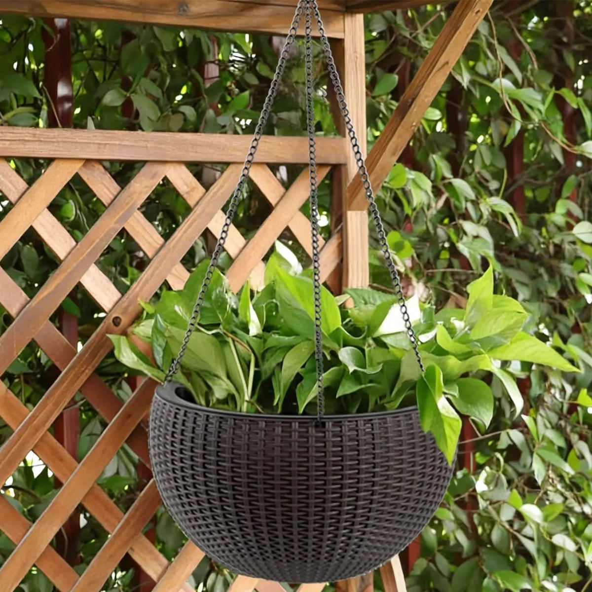 Hanging Planter | Self Watering | Breathable Design | Large Capacity