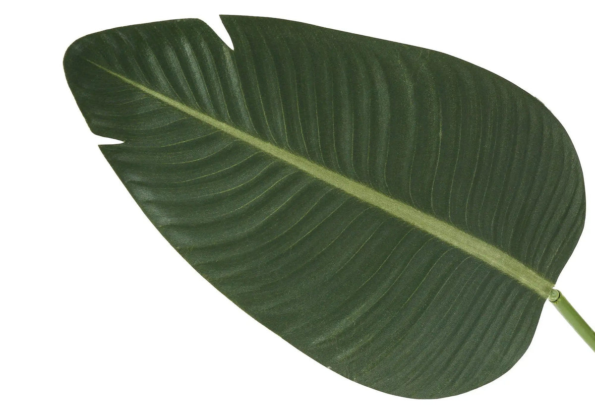 60" Tall, Artificial Plant, Bird Of Paradise Tree, Indoor, Faux, Fake, Floor | 31 x 31 x 60 in | Home Furniture | Black