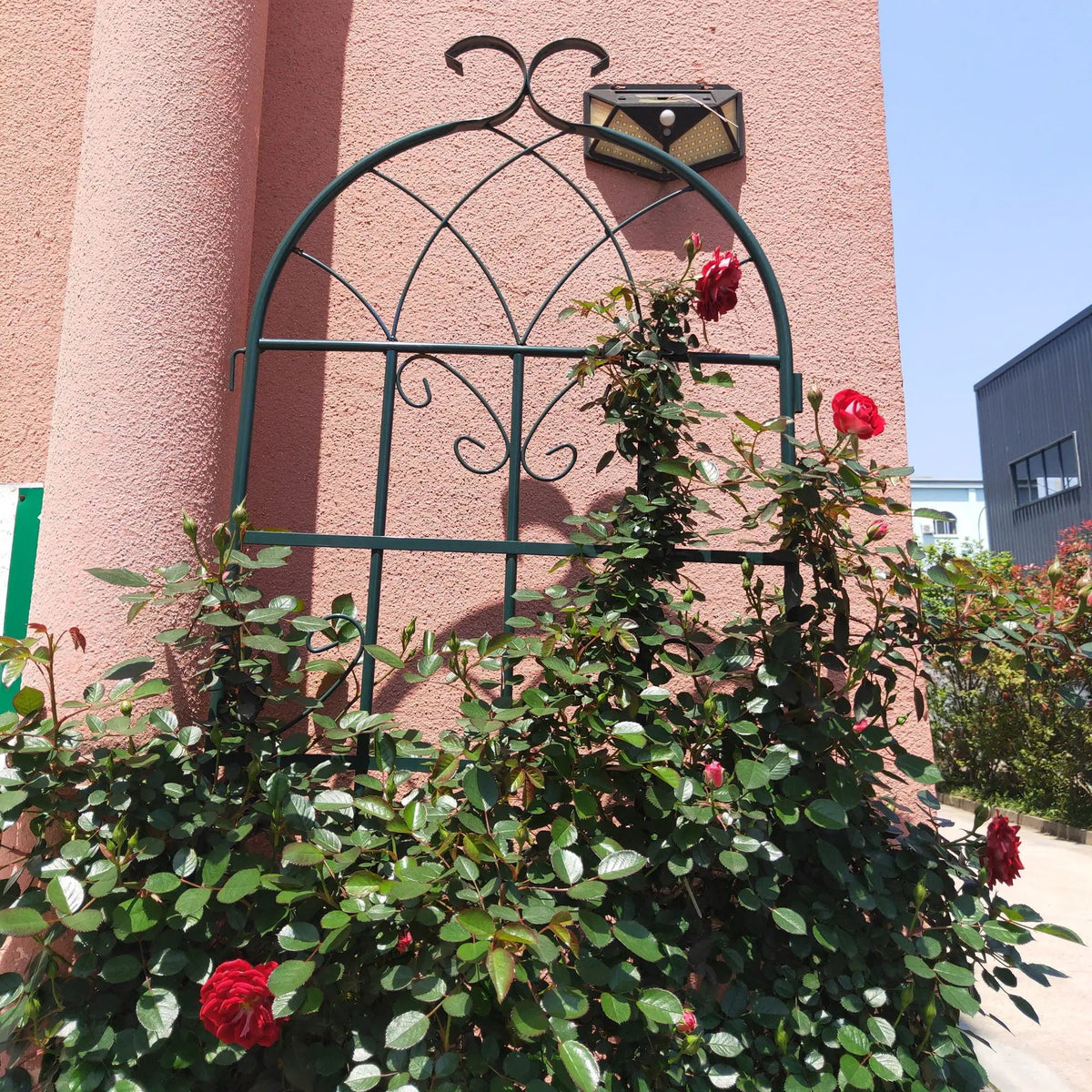 Metal Garden Trellis | Rustproof | 80 Inch Width | Single Or Double Use