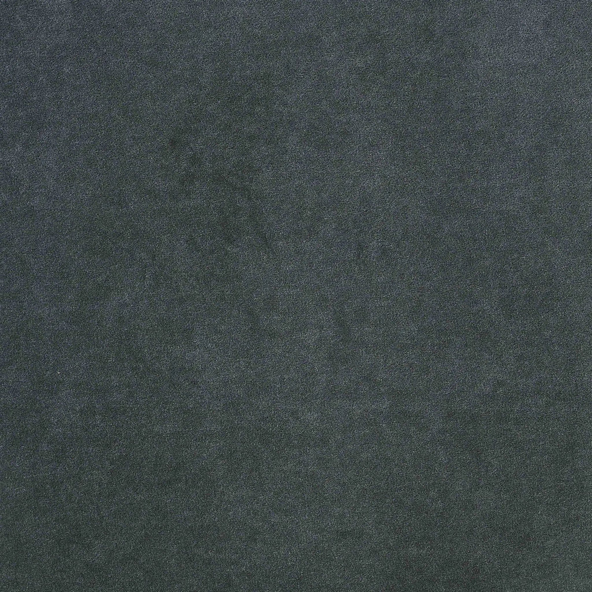 Melody Upholstered Queen Wingback Bed | 81 x 86.75 x 66.25 in | Velvet | Grey