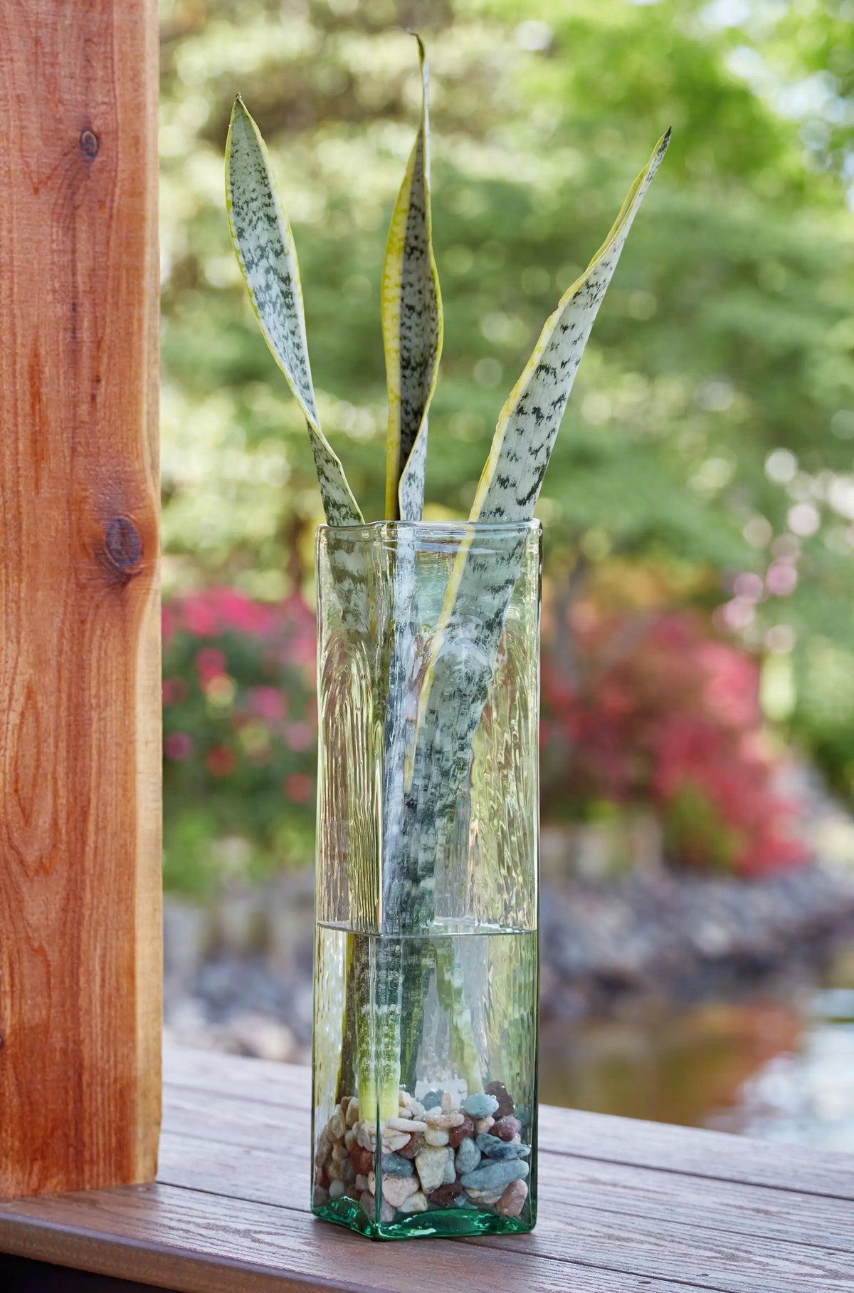 Taylow Transparent Glass Vase | Fluted Wide Opening | Long-Stemmed Blooms | 8 Inch Height