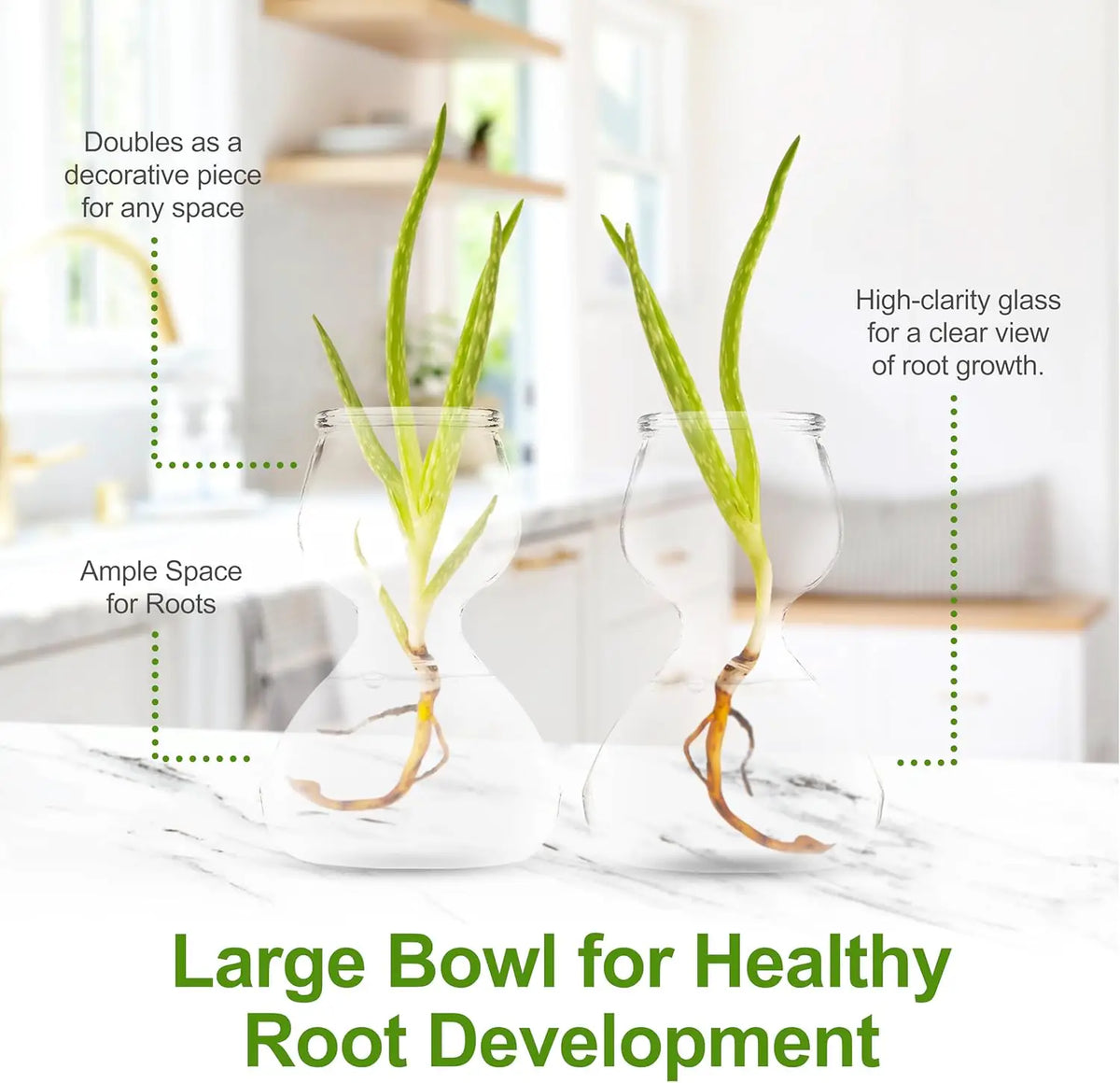 Clear Glass Bud Vases | Hourglass Shape | Propagation Design | Set of 4