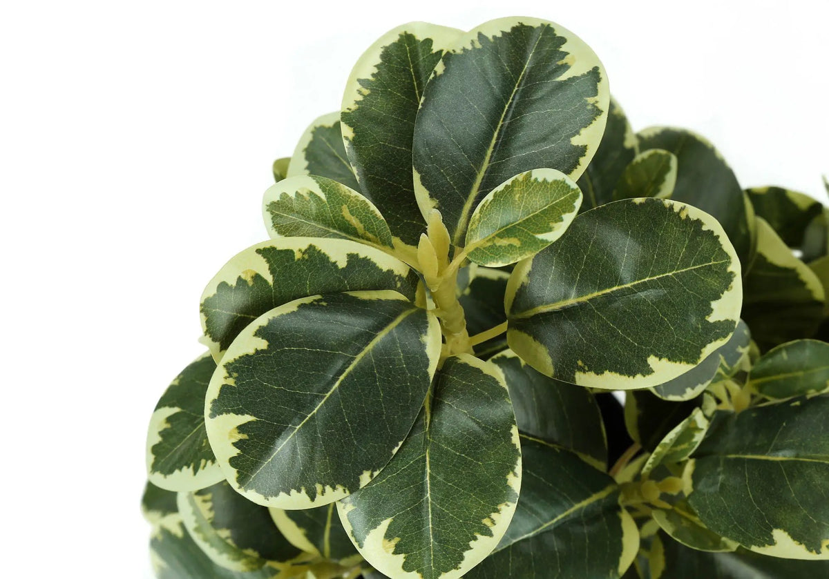 14 Inch Artificial Ficus Plant | Set Of 2 | 56 Adjustable Leaves | Indoor Faux Plant