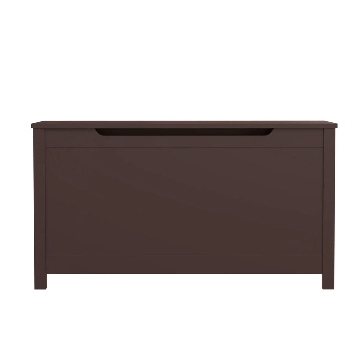 Toy Storage Box | Safety Hinged Lid | 2.7 Cubic Feet