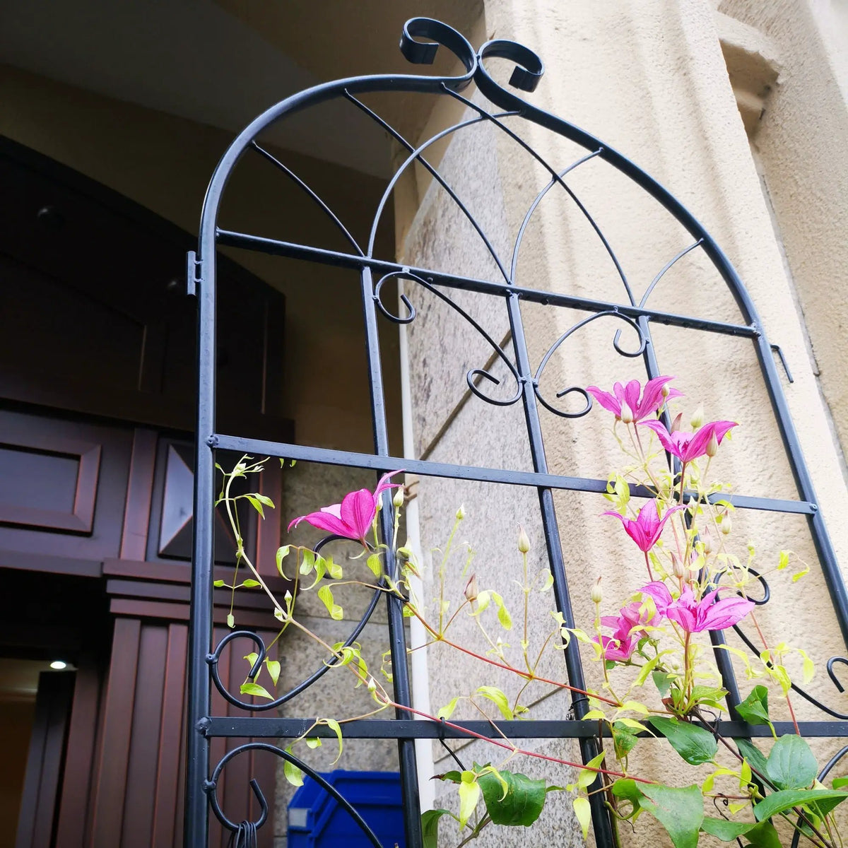 Metal Garden Trellis | Rustproof | 80 Inch Width | Single Or Double Use