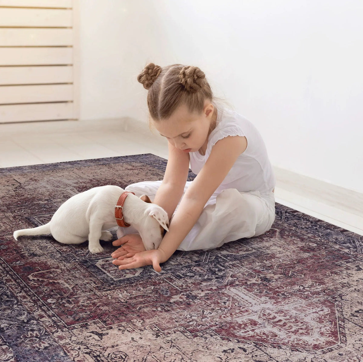 Maval Unique Washable Area Rug | 36 x 24 Inch | Machine Washable | Kid And Pet Friendly