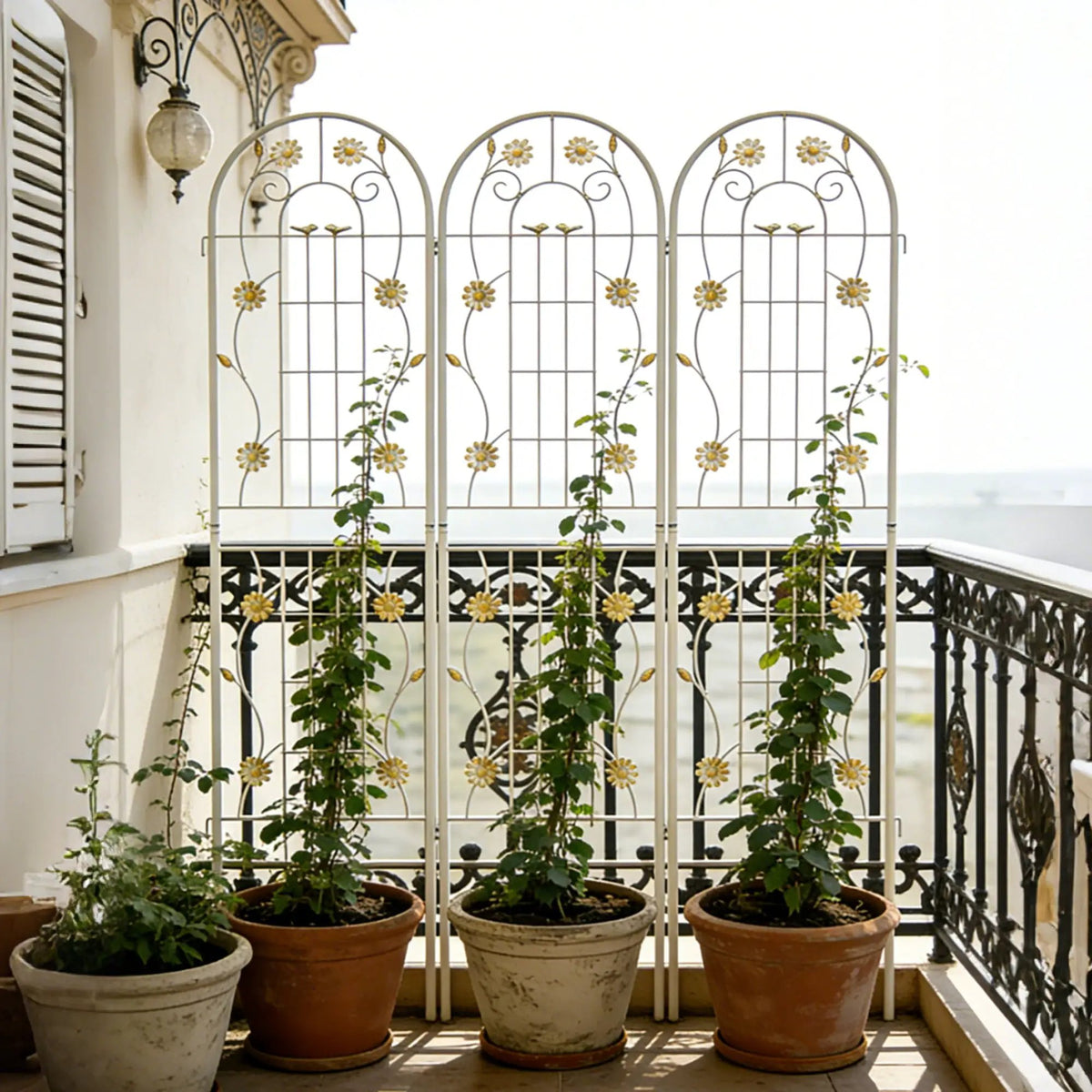 Metal Garden Trellis | Galvanized Steel | Powder Coated | 4 Piece Set