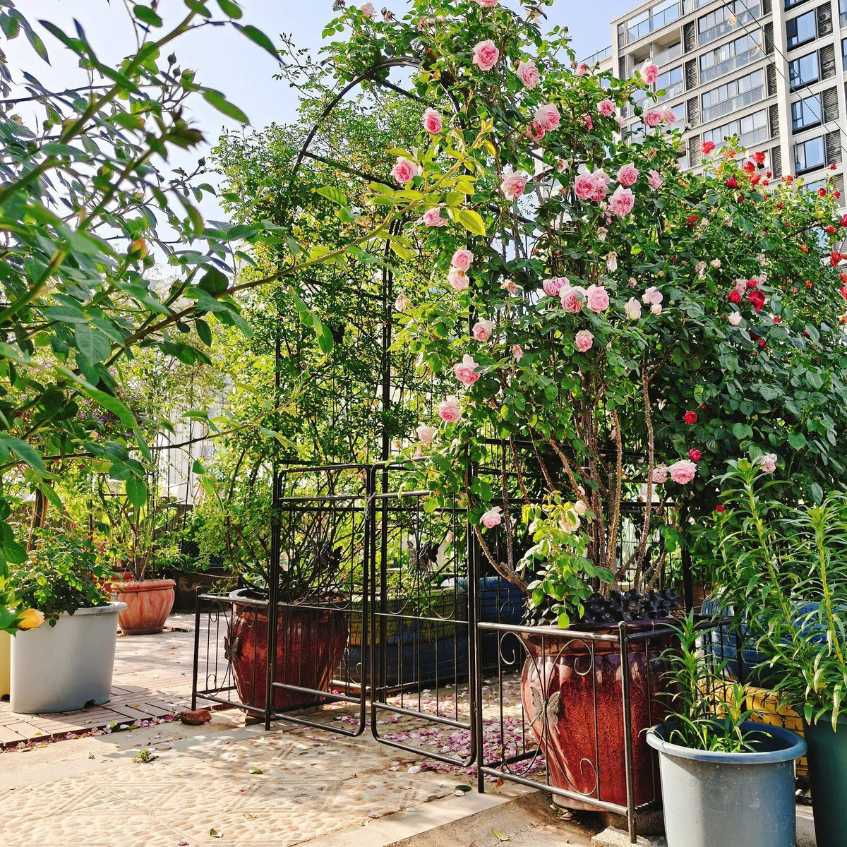 Metal Garden Arch With Gate | Black | Double Gate | Side Planters