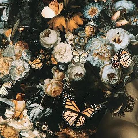 Valfer Wall Art Wall Decor | 48 x 1 x 36 in | Glass | Orange / Black / White