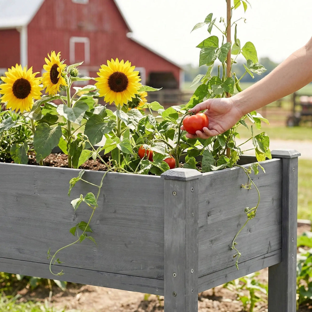 Elevated Raised Garden Bed | Solid Wood | Ergonomic Height