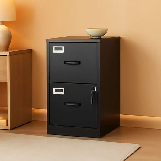 2 Drawer Locking Vertical File Cabinet For Letter Size Files Steel Office Storage from PriceLows™