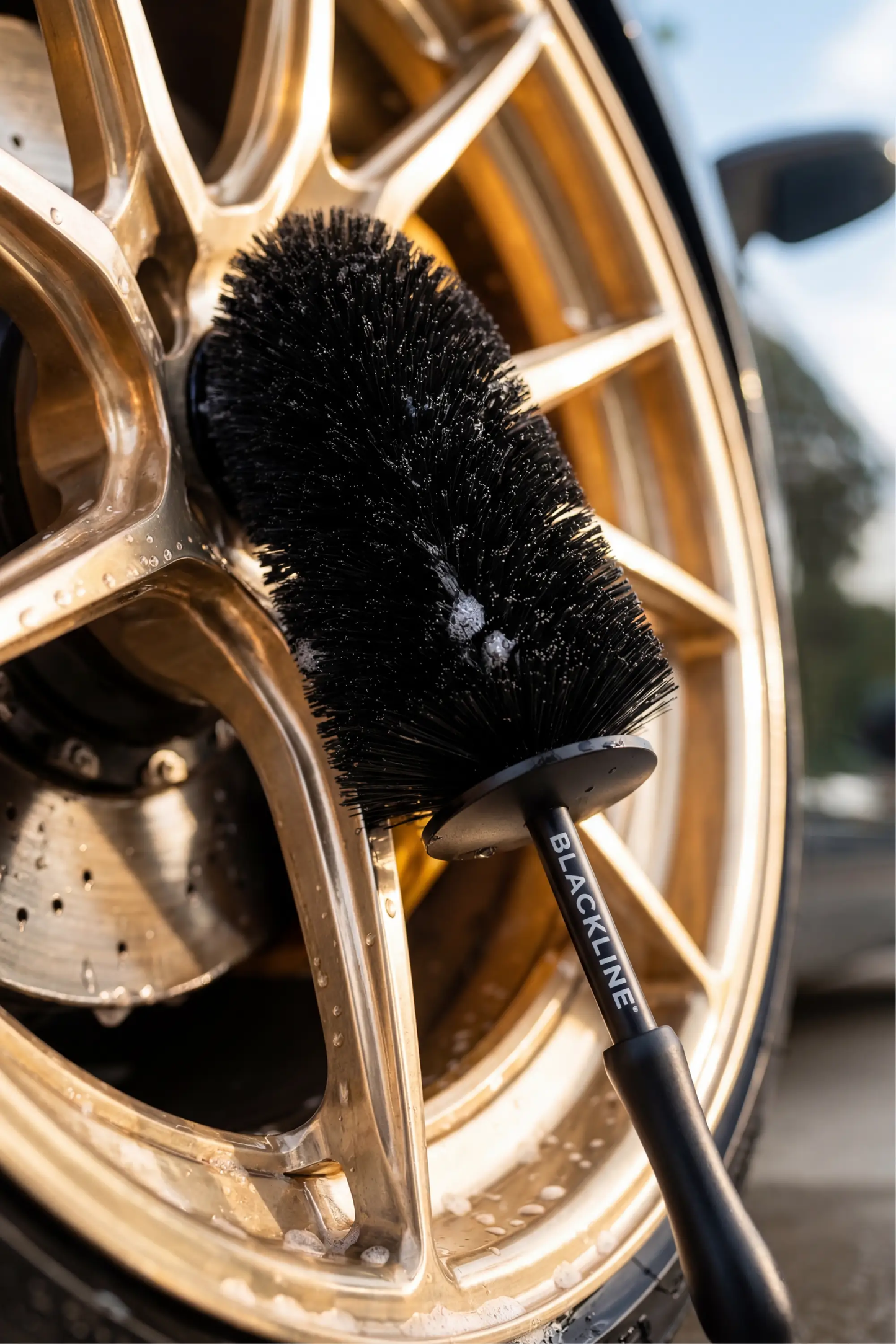 BLACKLINE® WHEEL BARREL BRUSH from PriceLows™