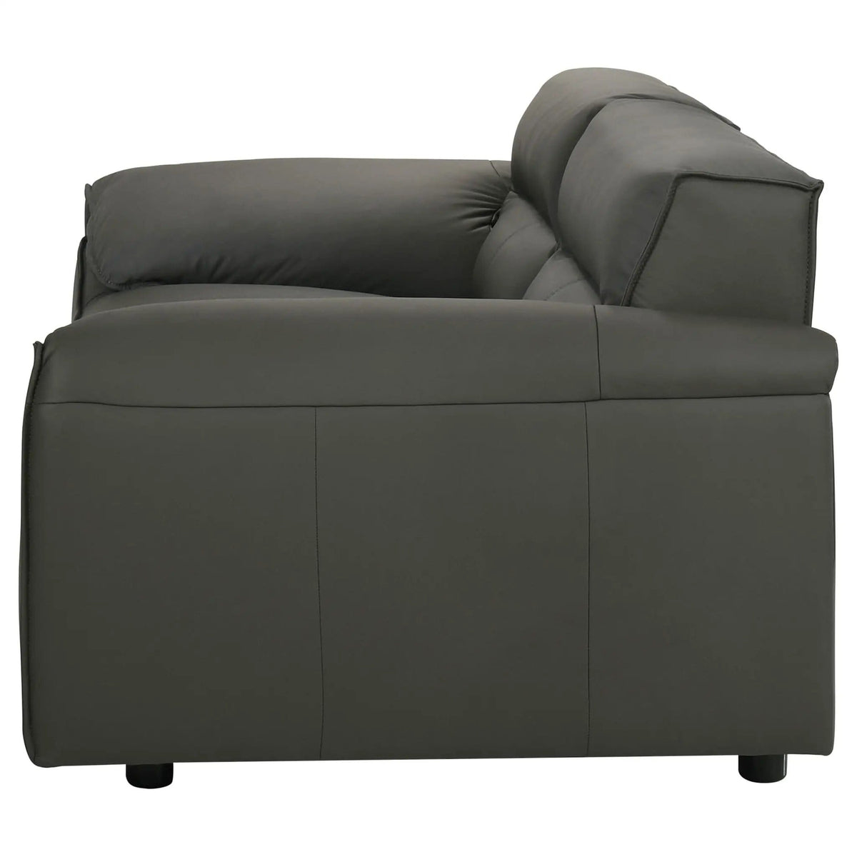 Buxton Top Grain Leather Upholstered Loveseat Graphite | 73.5 x 37.5 x 29.5 in | Leather | Living Room