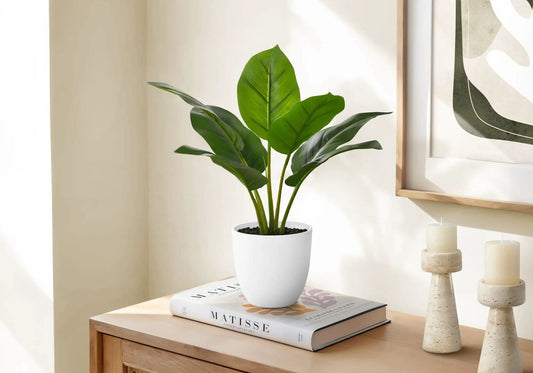 17 Inch Artificial Aureum Plant | Real Touch Leaves | Indoor Faux Plant | Potted