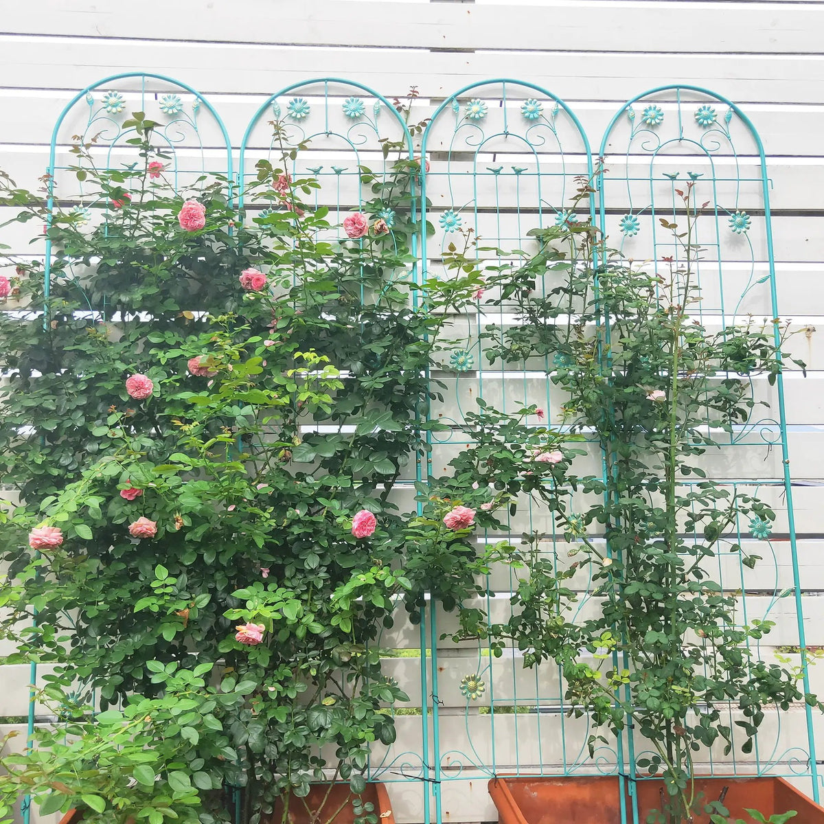 Metal Garden Trellis | Galvanized Steel | Powder Coated | 4 Piece Set