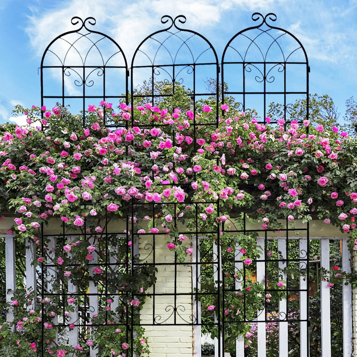 Metal Garden Trellis | Rustproof | 80 Inch Width | Single Or Double Use