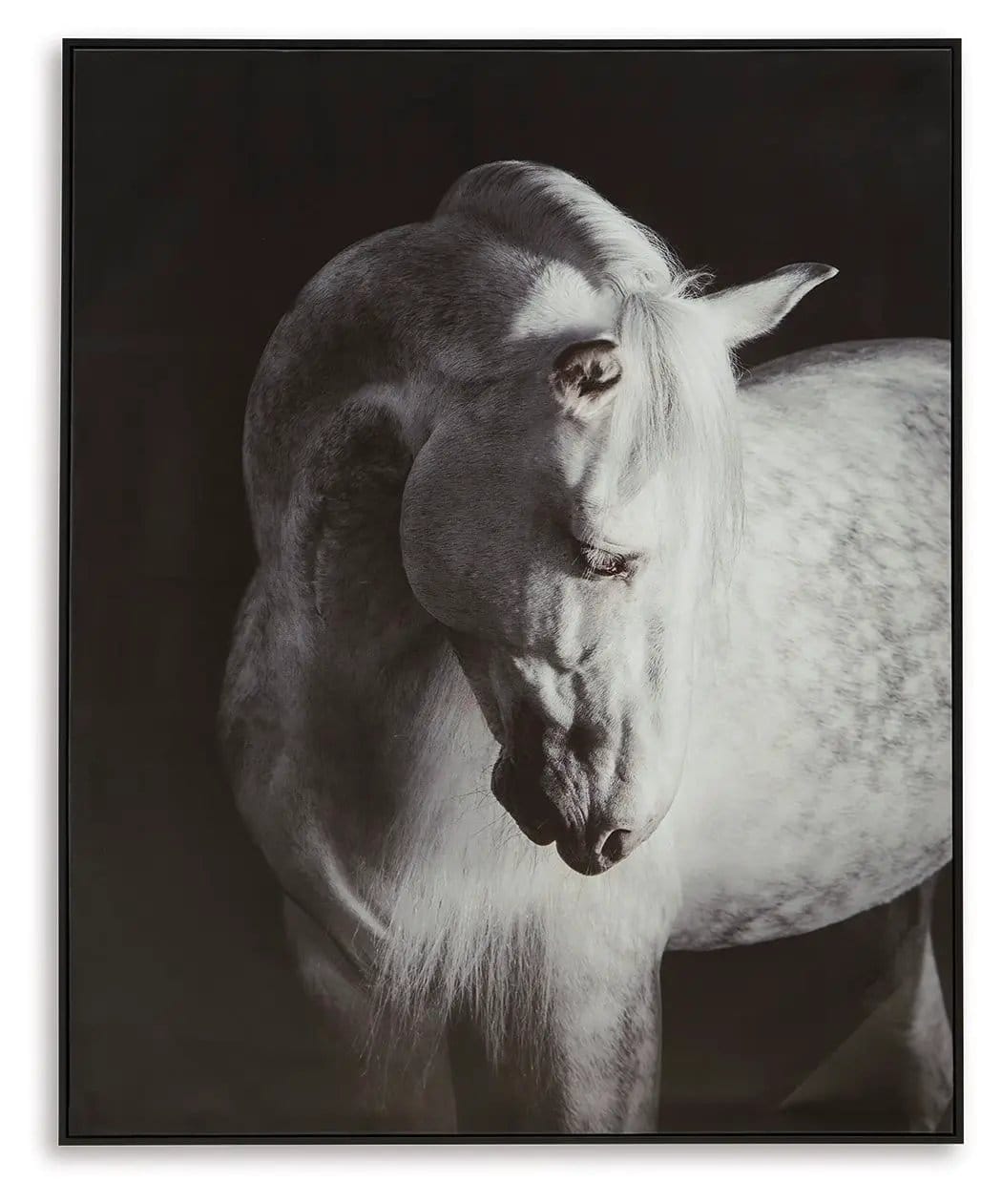 Archerwick Wall Art | 40 x 1.5 x 50 in | Home Furniture | Black / White