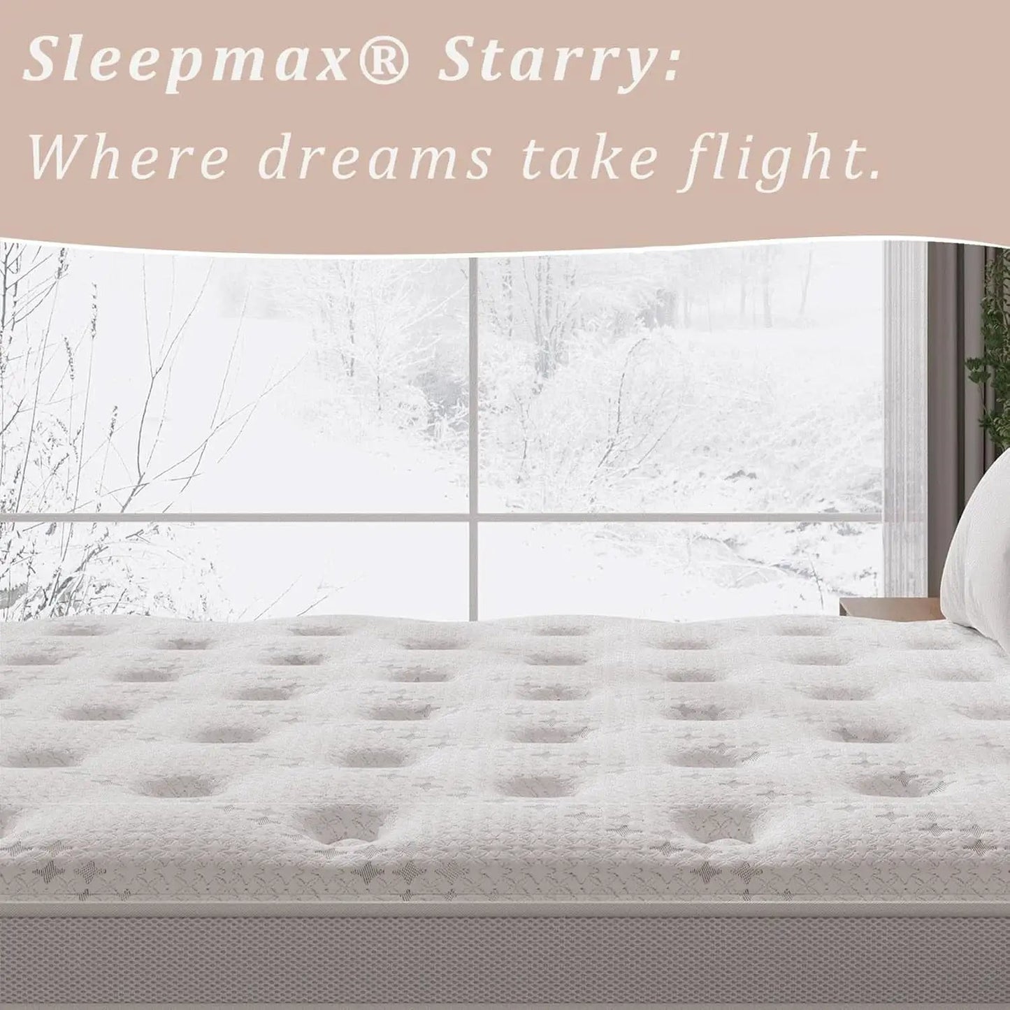 Firm Queen 14 Inch Mattress Hybrid Lumbar Support Plus from PriceLows™