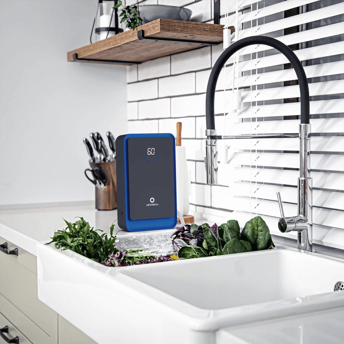 AH1000 Water Ozone Generator from PriceLows™
