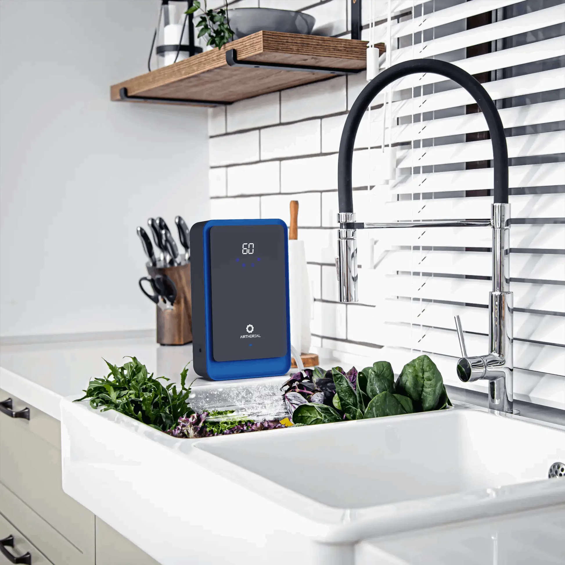 AH1000 Water Ozone Generator from PriceLows™