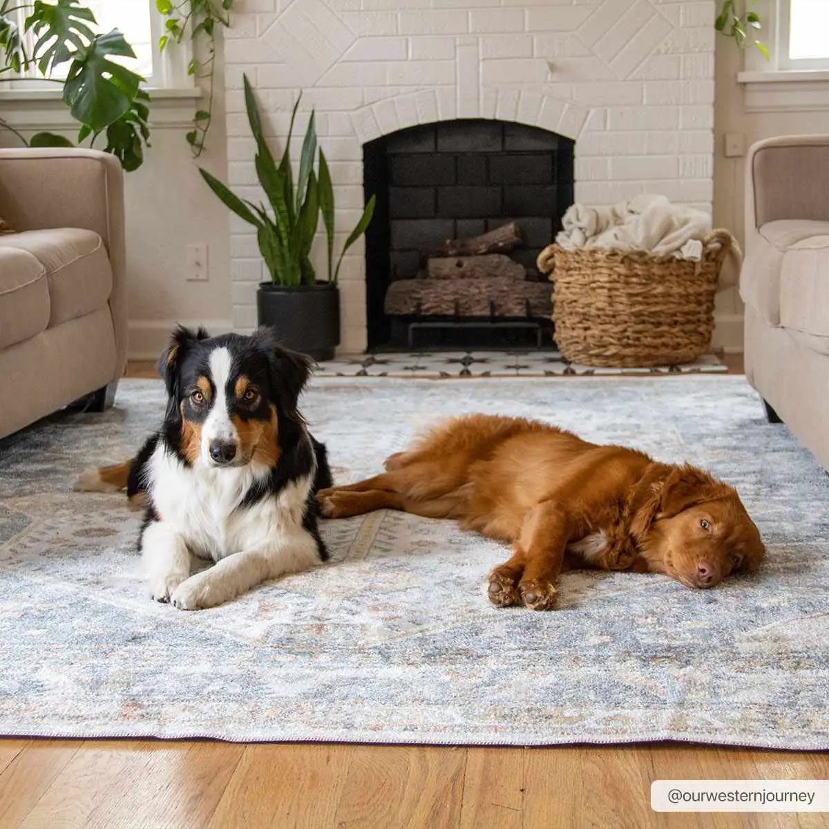 Afya Washable Area Rug from PriceLows™
