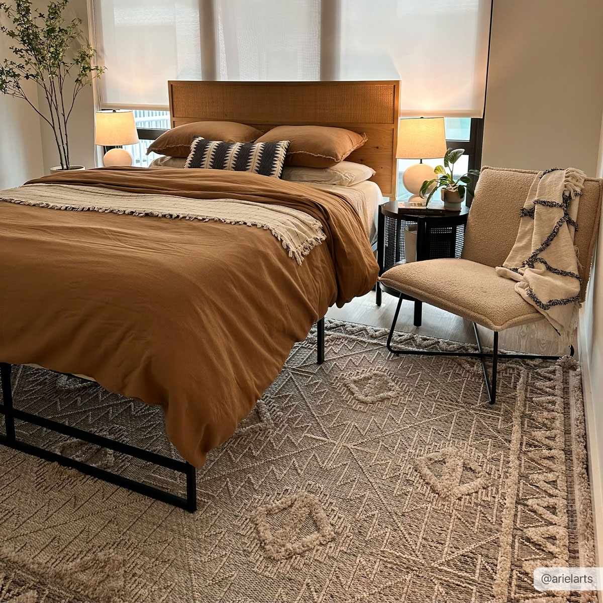 Agoo Area Rug from PriceLows™