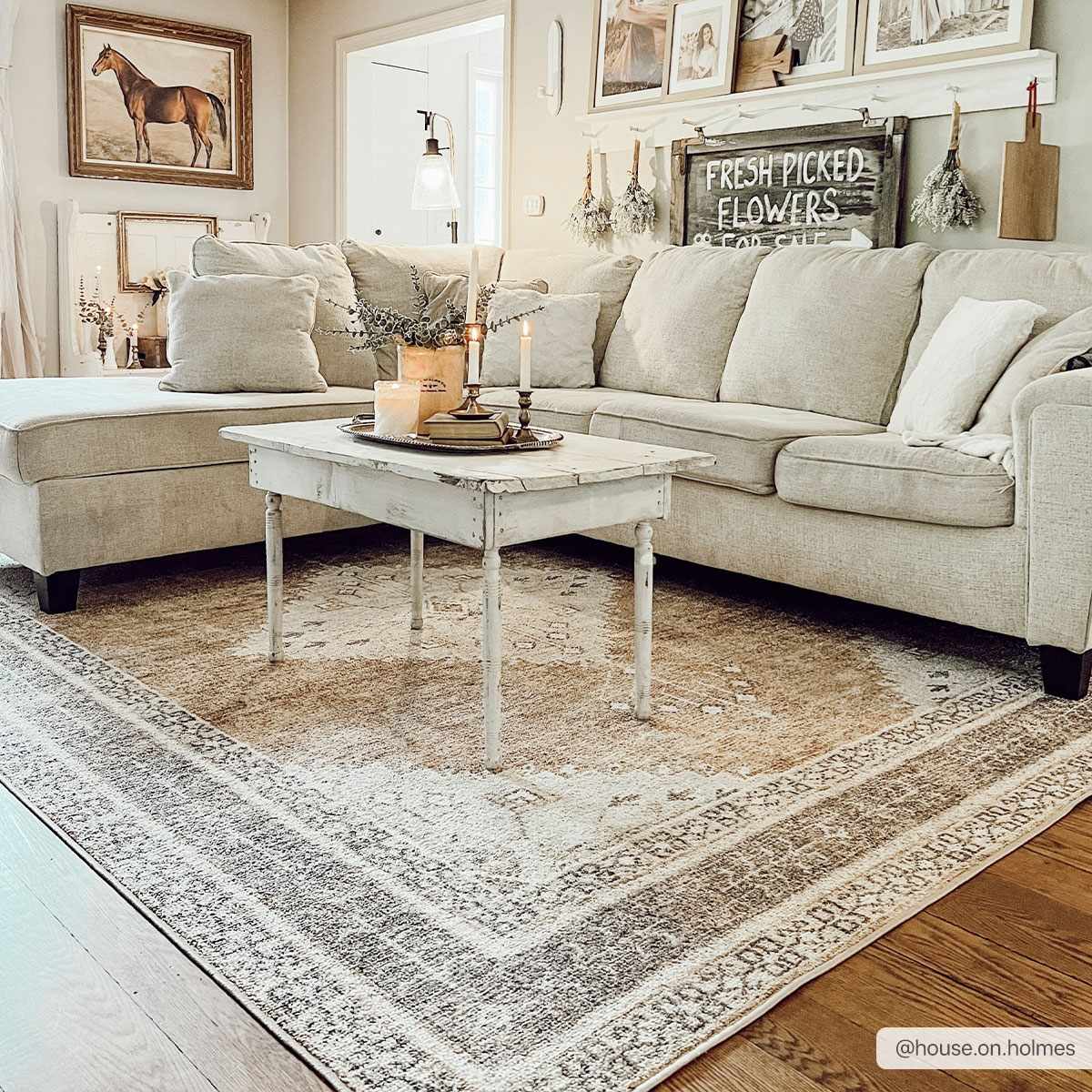 Albas Washable Area Rug from PriceLows™