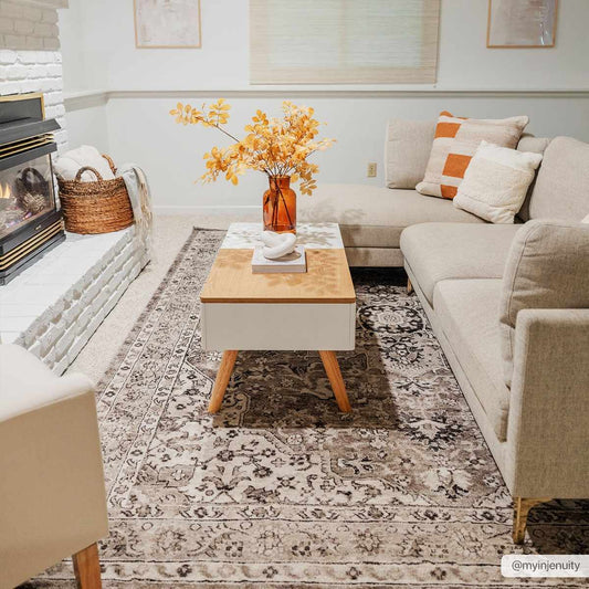 Albie Beige Area Rug from PriceLows™
