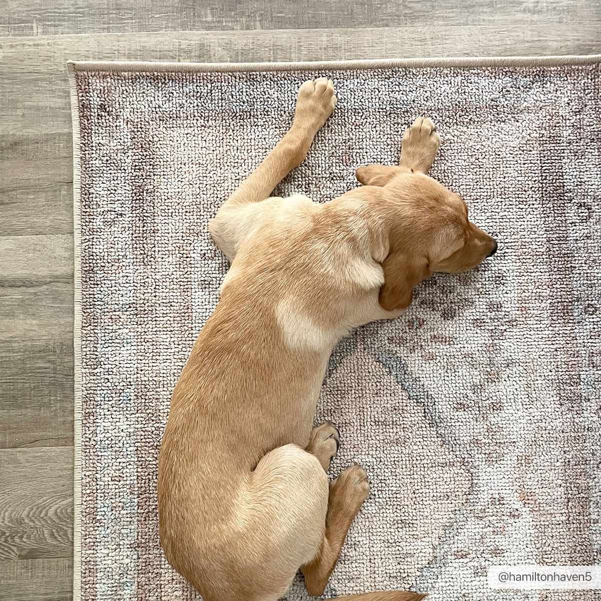 Analu Peach Washable Area Rug from PriceLows™