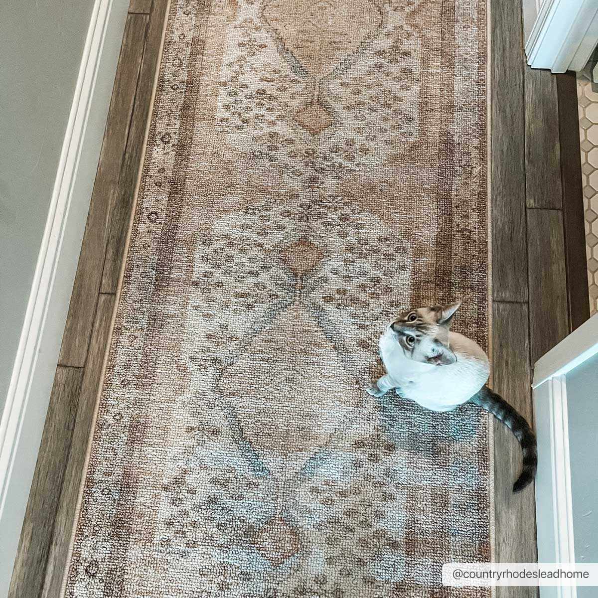 Analu Peach Washable Area Rug from PriceLows™