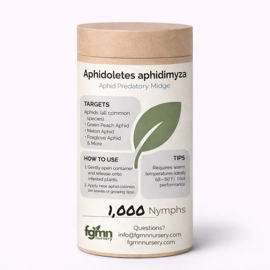 Aphidoletes aphidimyza from PriceLows™