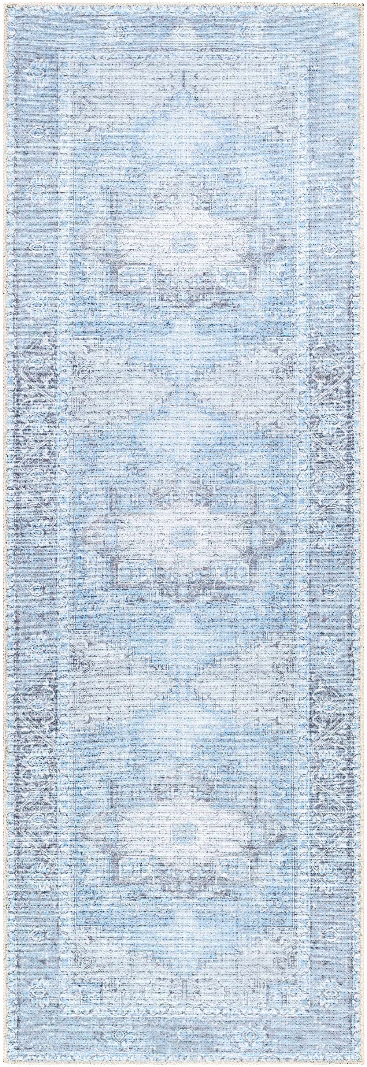 Aqua Rosman Washable Area Rug from PriceLows™