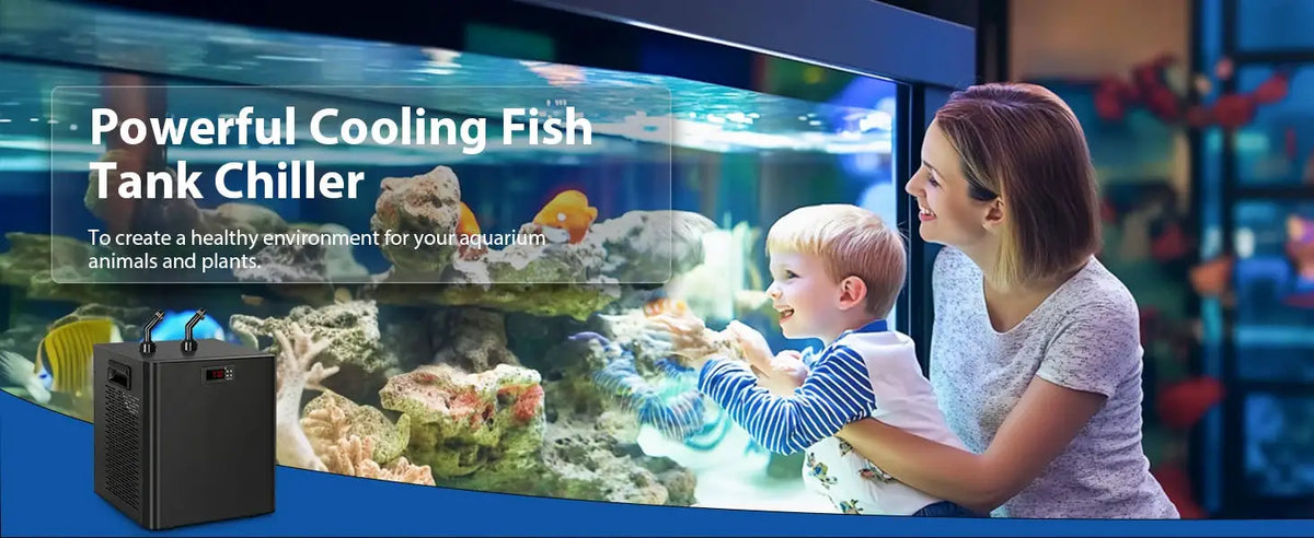 Aquarium Water Chiller | 1/3 HP | PriceLows™