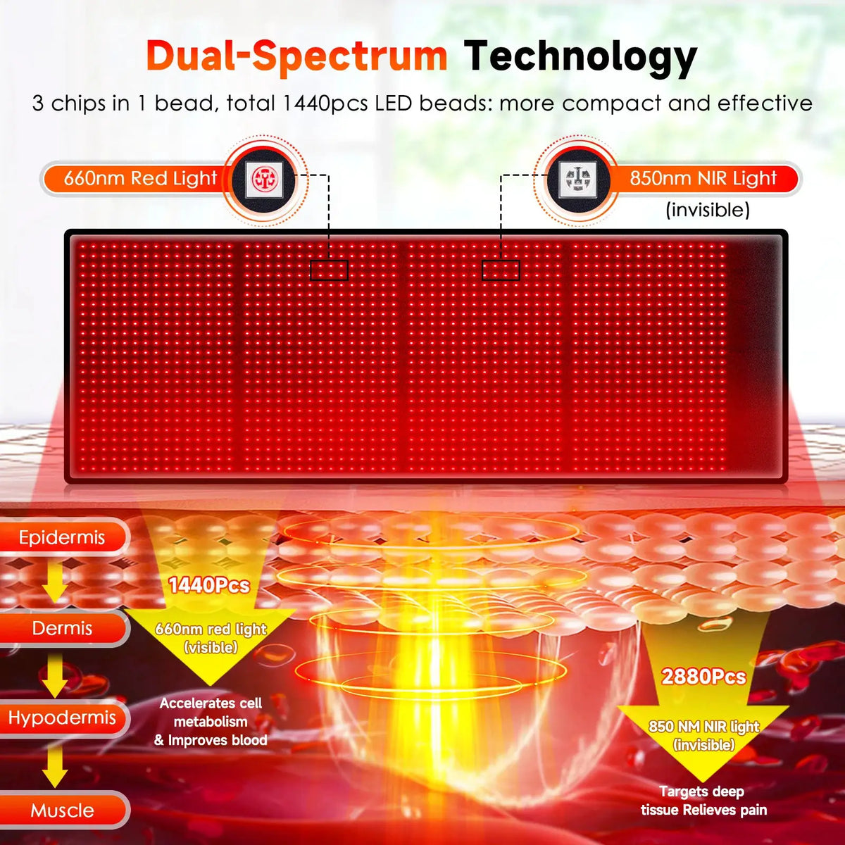 Astarexin Led Light Therapy Mat | 1440 Leds | PriceLows™