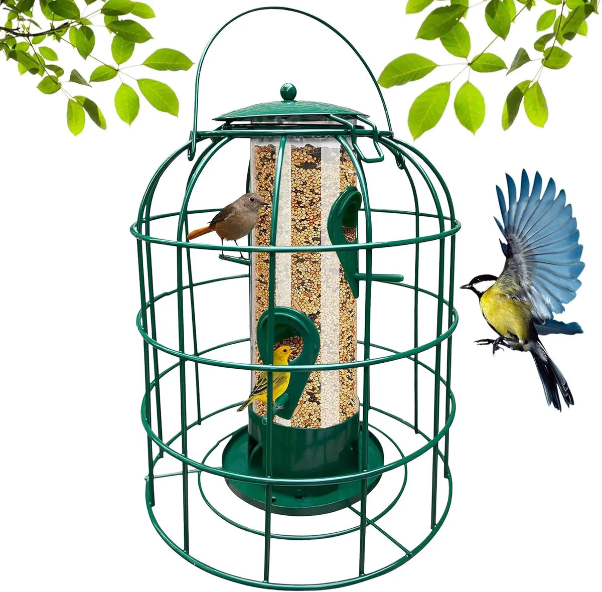 Tube Bird Feeder | Squirrel Proof | 4 Perches | Weather Resistant