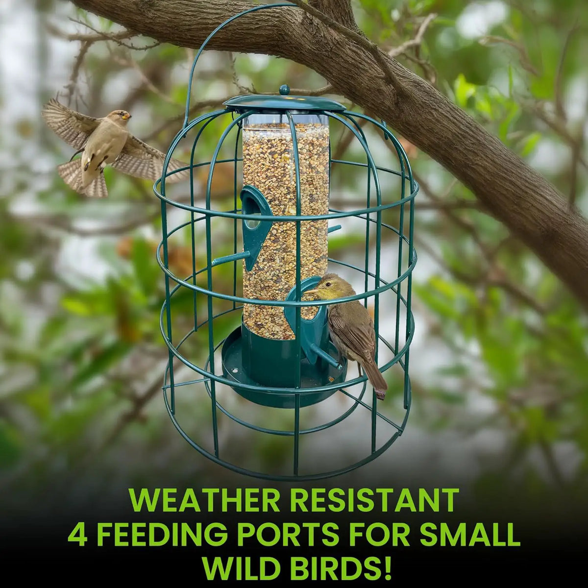 Tube Bird Feeder | Squirrel Proof | 4 Perches | Weather Resistant