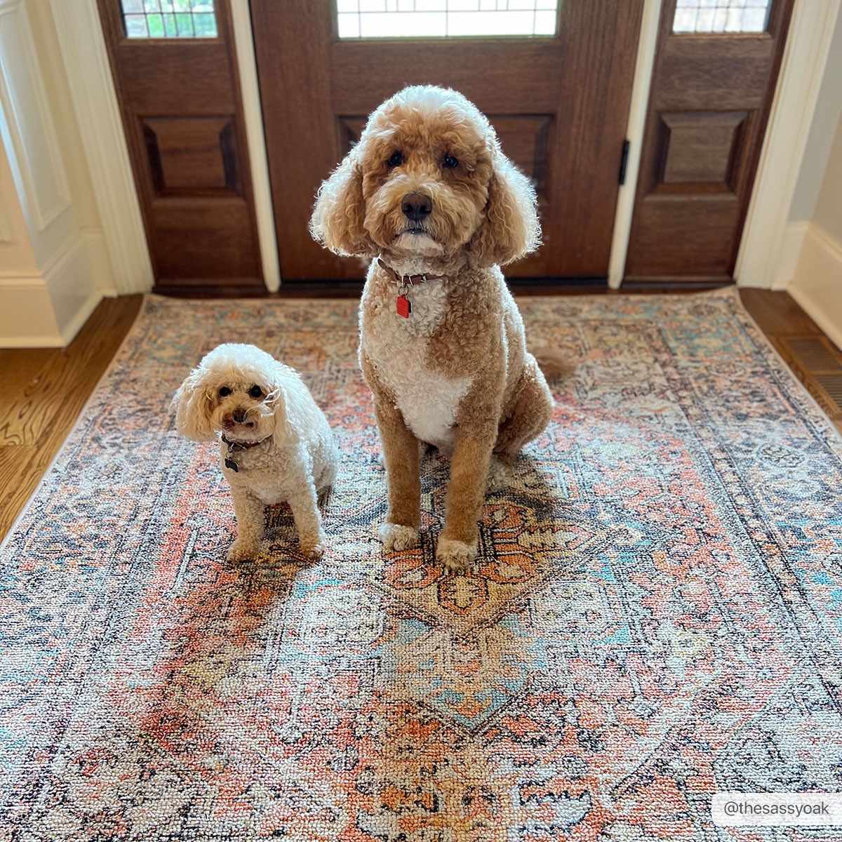 Beck Peach Washable Area Rug from PriceLows™