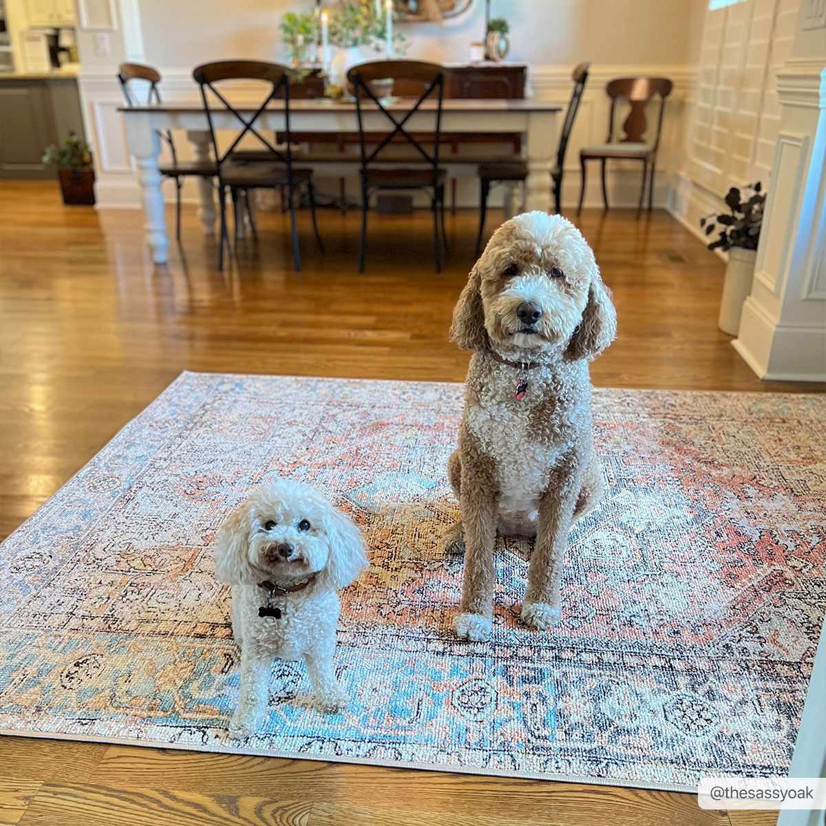 Beck Peach Washable Area Rug from PriceLows™