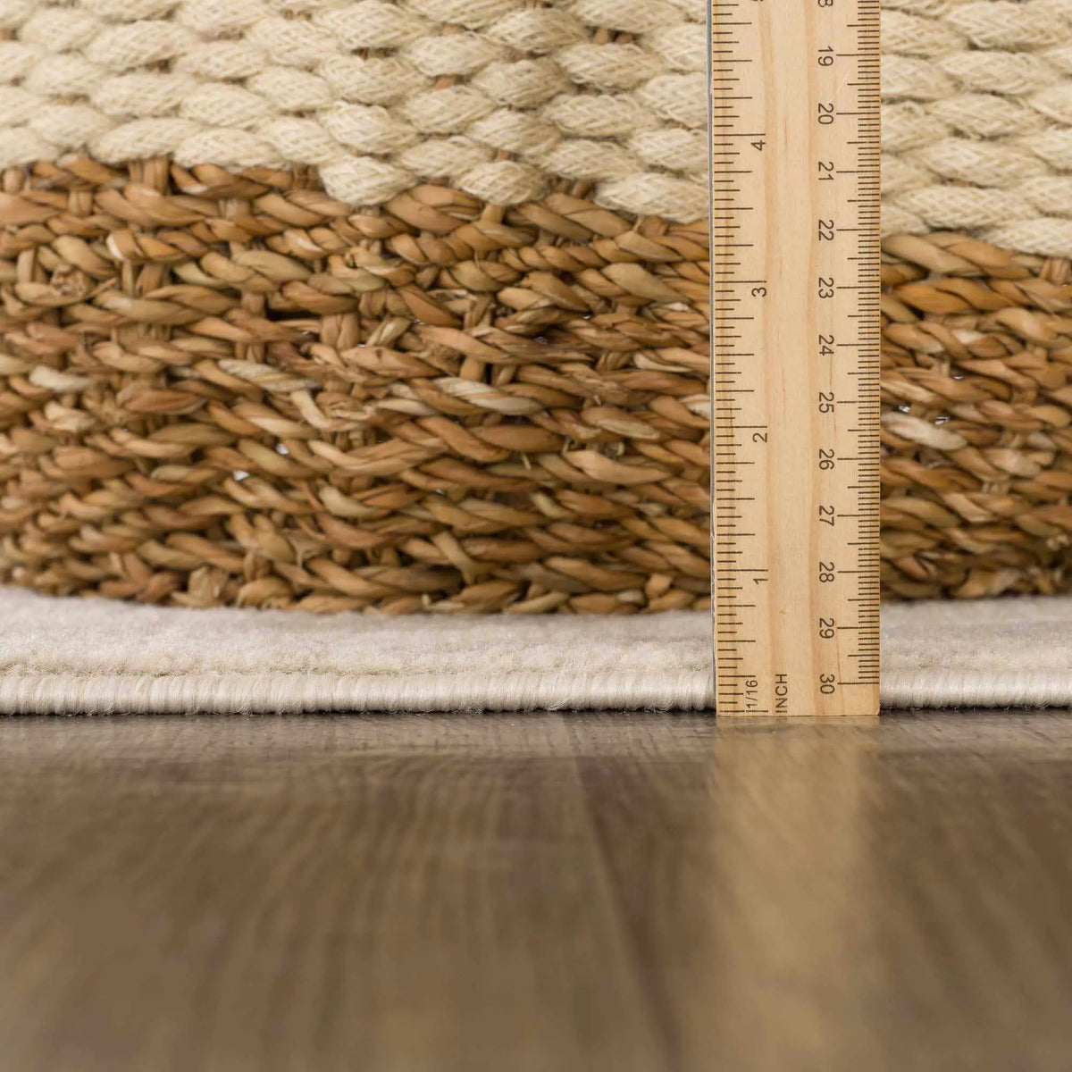 Beige Manteca Zebra Print Area Rug from PriceLows™