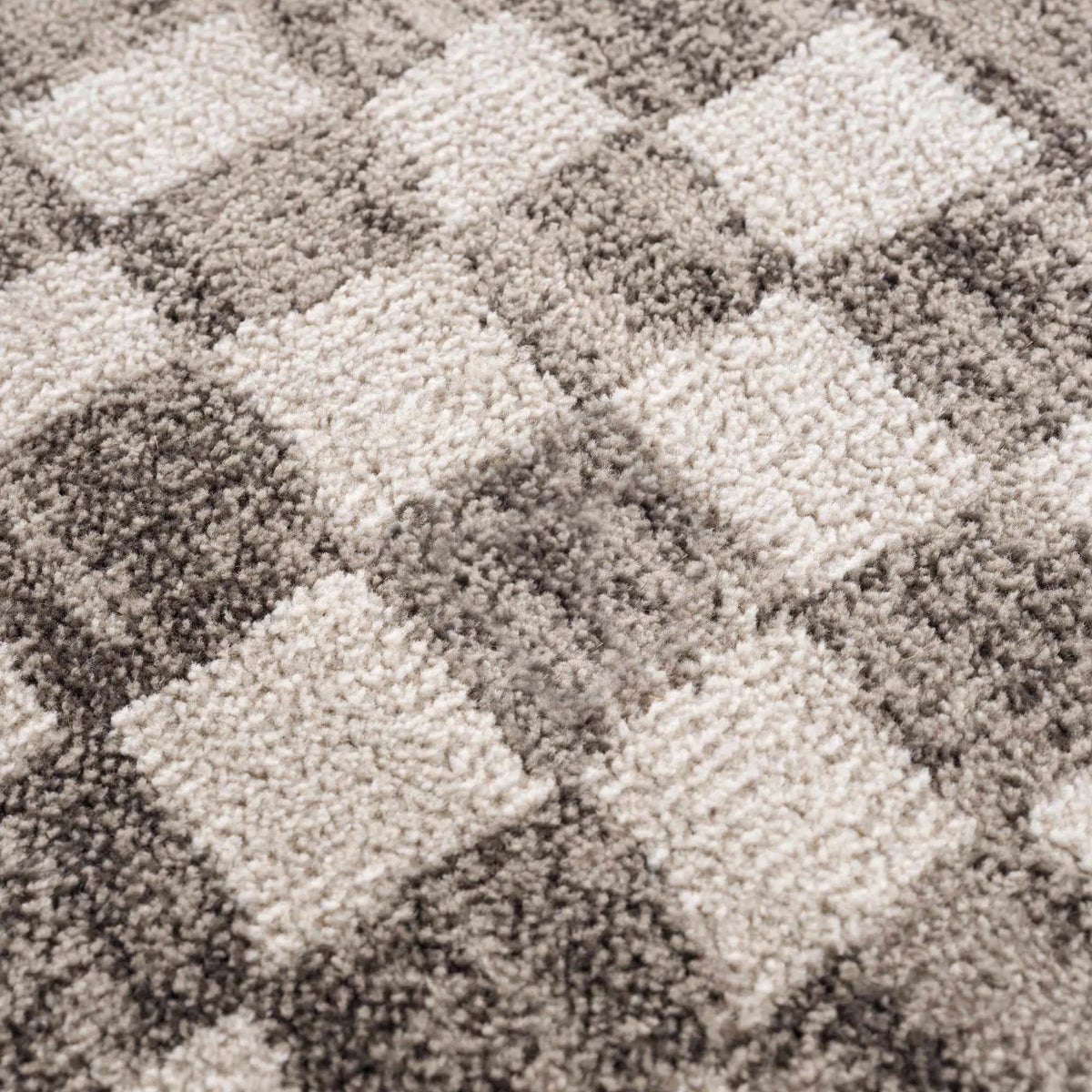 Benjy Beige Checkered Area Rug