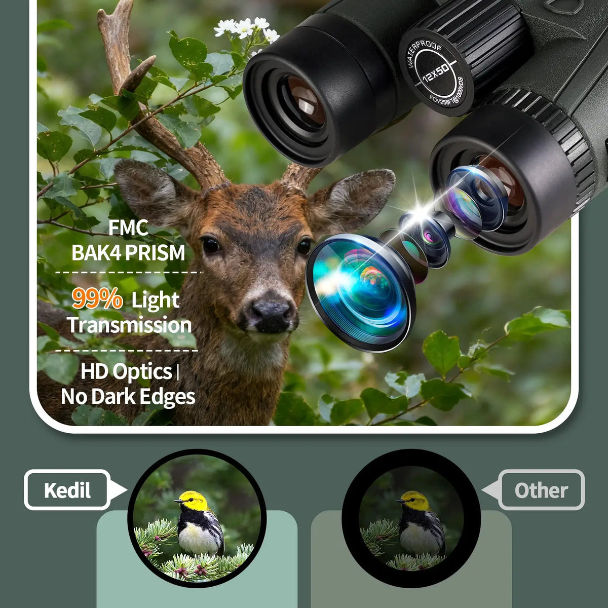 Binoculars | ED 12x50 | PriceLows™