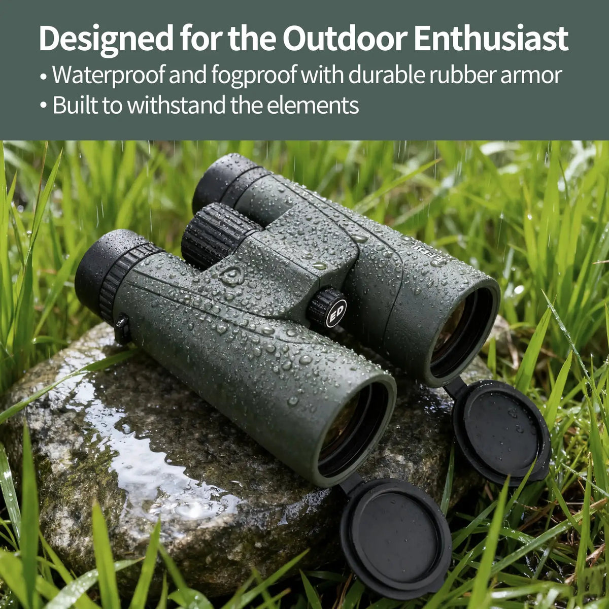 Binoculars | ED 12x50 | PriceLows™