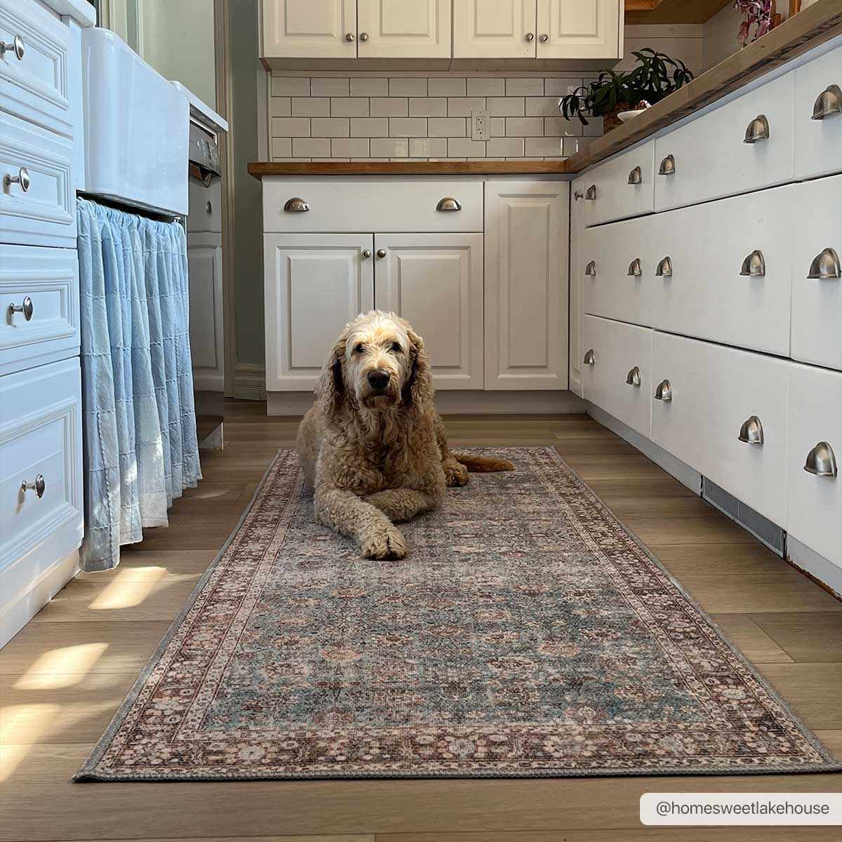 Brown Blue Dauis Vintage Washable Rug from PriceLows™
