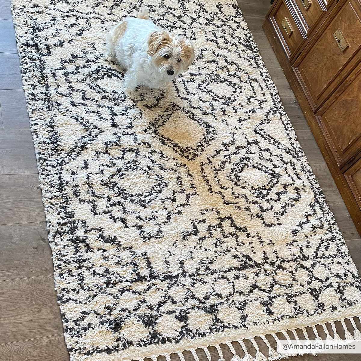 Buan Plush Area Rug from PriceLows™