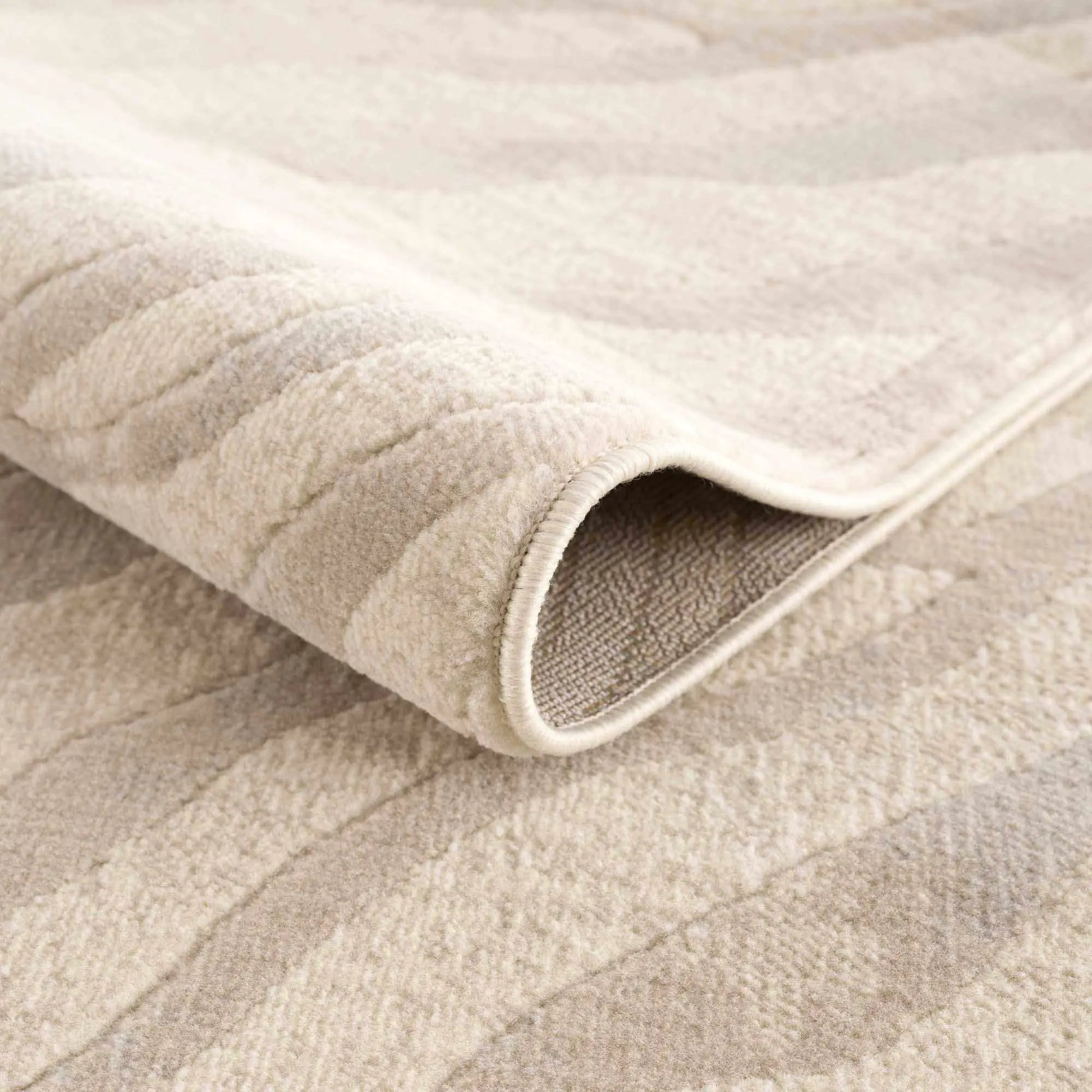 Beige Manteca Zebra Print Area Rug from PriceLows™