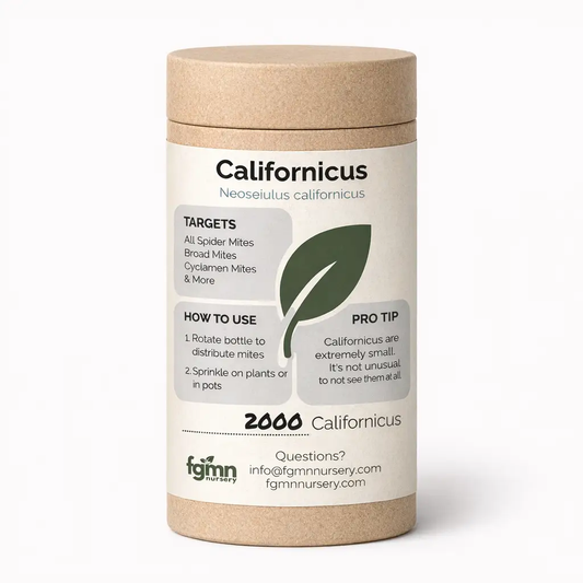 Neoseiulus californicus from PriceLows™