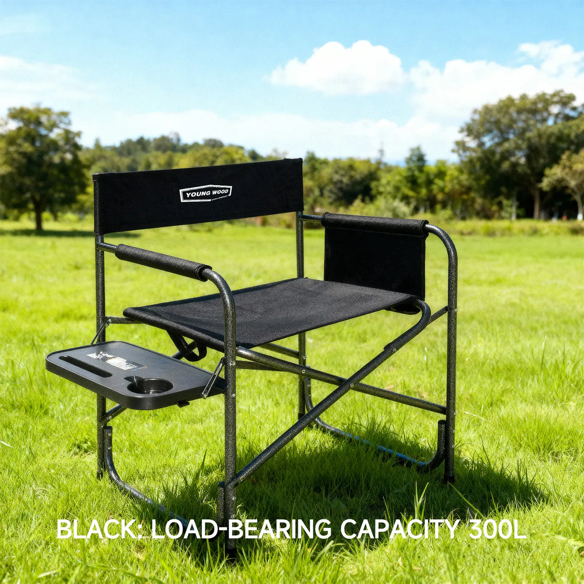 Outdoor Camping Lightweight Comfortable Folding Chair Park Leisure Beach Chair Portable Single Lazy Chair Back Chair from PriceLows™