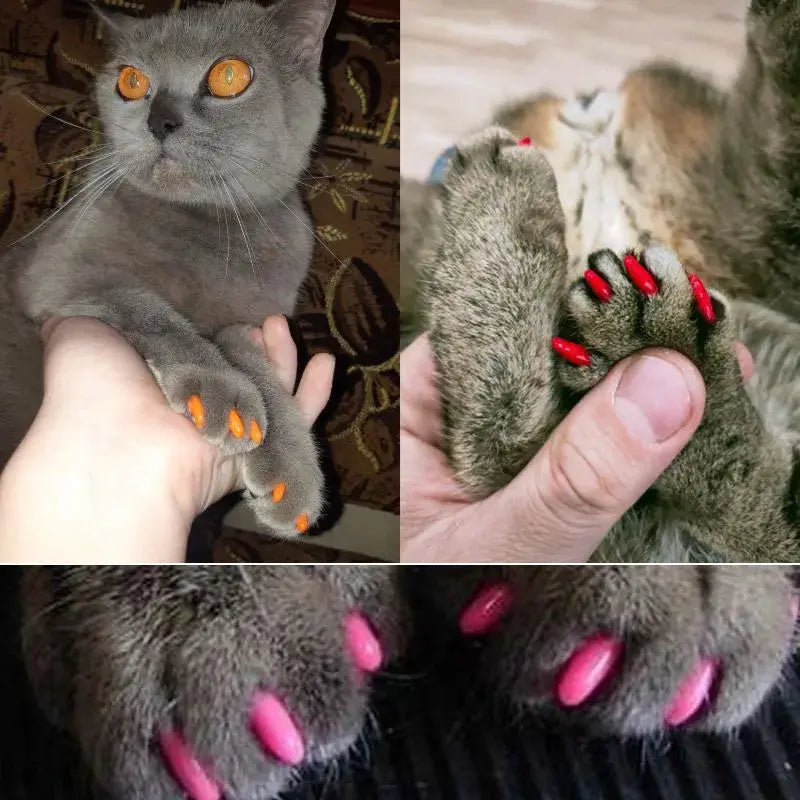Cat Nail Caps | Soft Plastic With Glue | PriceLows™