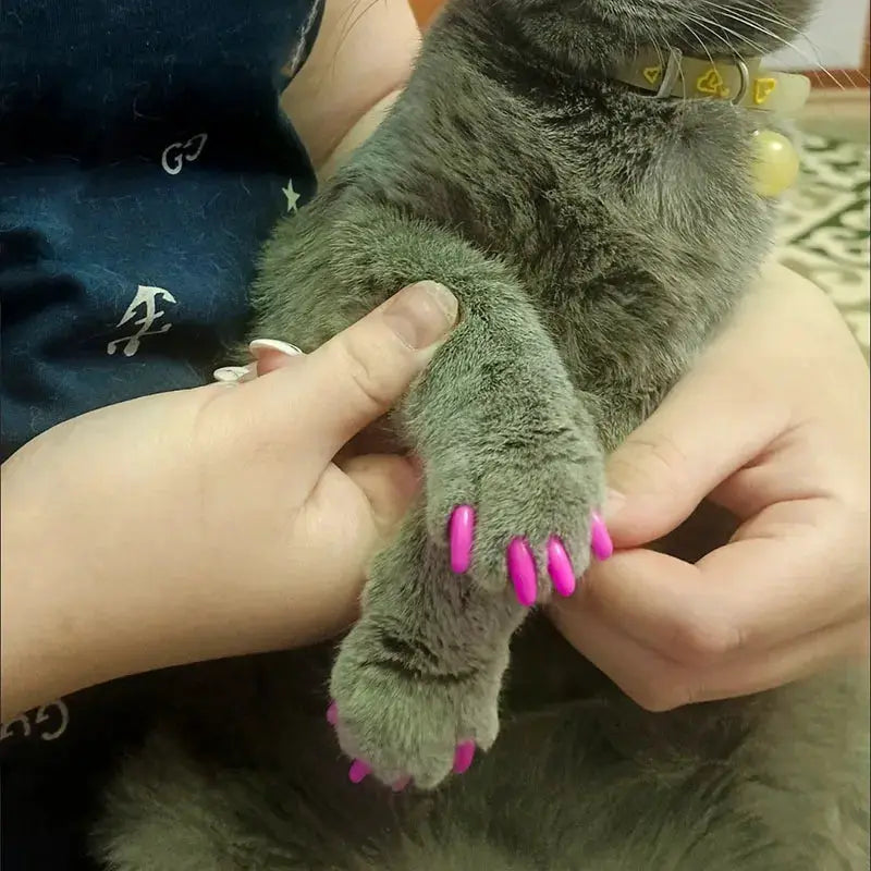 Cat Nail Caps | Soft Plastic With Glue | PriceLows™